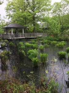 Review: Visiting the New York Botanical Gardens for Mother’s Day 2018