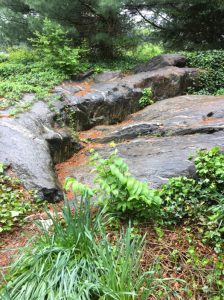 Review: Visiting the New York Botanical Gardens for Mother’s Day 2018